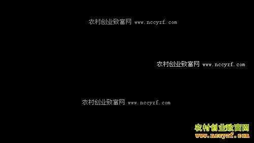 �¸�����һ��400Ԫ �����ץס�����߱ڵ��̻�(20170329)