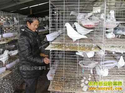 �Ĵ�������ѧ����ֳ�����ƶ�¸�