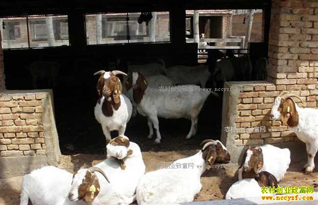 δ��ũ����ֳʲô������·-������ֳ