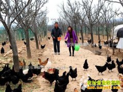 ɽ����ϲ�Ժ��ࡢ�����ɷ��ֵ����ڼ������¸�·