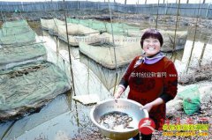 ��������ƶ��������֥�����������¸�·