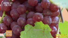 [ÿ��ũ��]����������������������ÿĶ����30��Ԫ