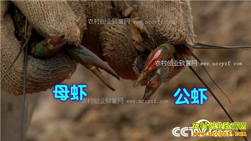 �¸�������������������ɫ�ջ�֮��(20170330)