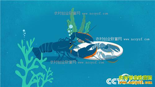 �¸�������������������ɫ�ջ�֮��(20170330)