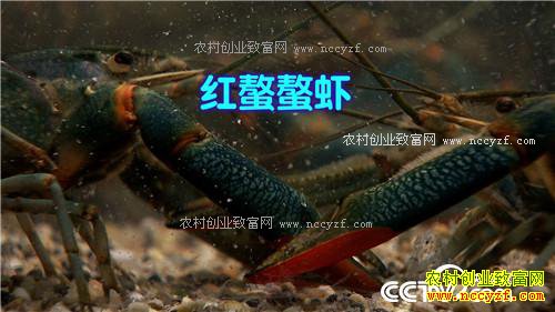 �¸�������������������ɫ�ջ�֮��(20170330)