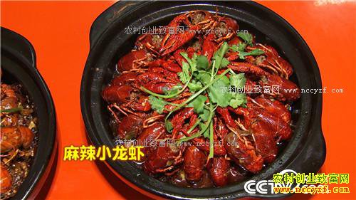 �¸�������������������ɫ�ջ�֮��(20170330)