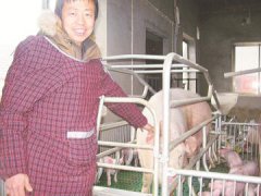 �Ĵ����ݳɺ鲨�������� ��̬ѭ������ǰ����