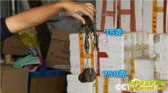 [�¸���]�㶫��ɽ��������ֳ��ɫ���޵�ˮ��Ϻ����800��