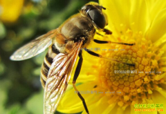 �����뽭���ƻ����۷��괴��2���Ԫ