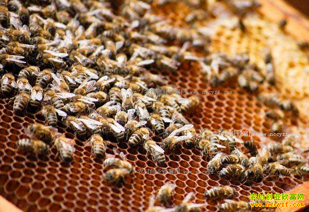 �Ĵ���˧���������۷������¸�·