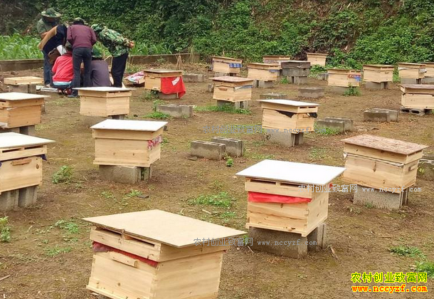 �Ĵ���˧���������۷������¸�·