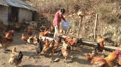 ������Ӻ�ؽ�����������Ѱ���¸�·