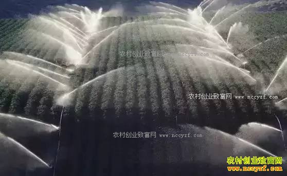 2017���ͥũ����������Щũҵ������