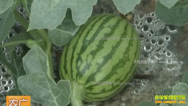 [ũ�����]����һ������Ч��� 20170404