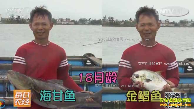 [ÿ��ũ��]ˮ�¡���θ������������¸����� 20170331