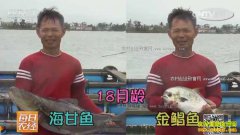 [ÿ��ũ��]ˮ�¡���θ�������������ֳ�¸�����