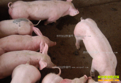 �Ĵ������۸�����µ� δ���г�������ڻ�����