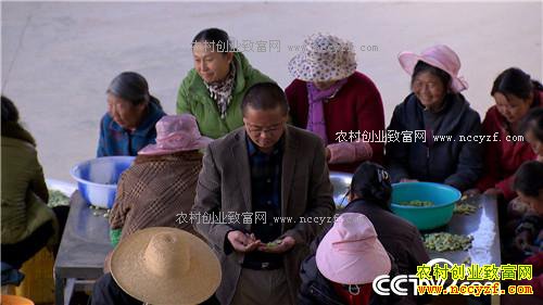 [�¸���]һ�����������δ�500Ԫ��ҵ�����6000�� 20170405 