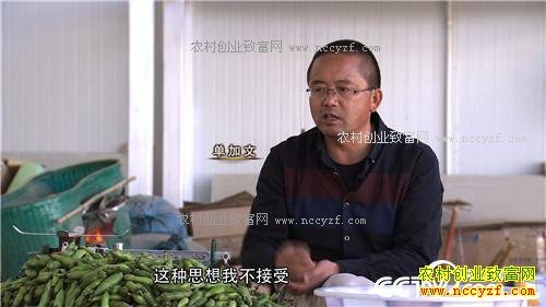 [�¸���]һ�����������δ�500Ԫ��ҵ�����6000�� 20170405 