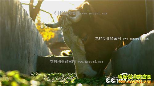 [�¸���]һ�����������δ�500Ԫ��ҵ�����6000�� 20170405 