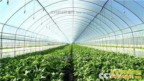 [�¸���]һ�����������δ�500Ԫ��ҵ�����6000�� 20170405 