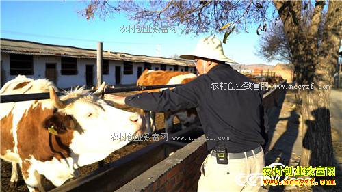 �¸�����һ�����������δ�500Ԫ�𲽵�����6000�� 4��5��