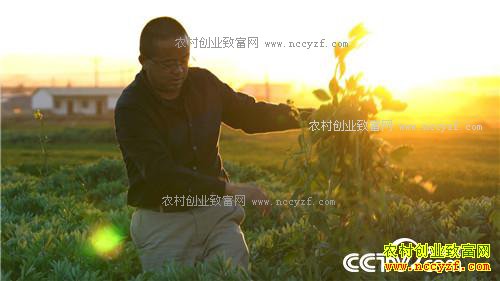 [�¸���]һ�����������δ�500Ԫ��ҵ�����6000�� 20170405 