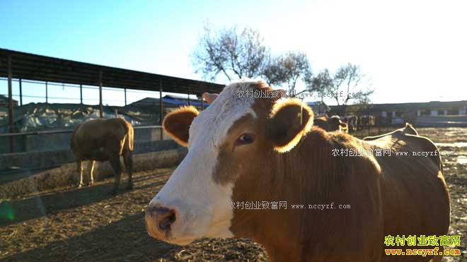 [�¸���]���ϴ��������ľ�Ӫ�϶���500Ԫ��ҵ�����6000��