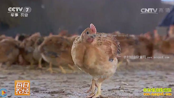 [ÿ��ũ��]�㽭�ٰ��ܱ�������������׬Ǯ������