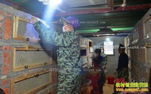 ���Ϻ����������»ش崴ҵ���ߴ�������¸�