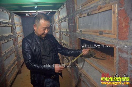 ���Ϻ����������»ش崴ҵ���ߴ�������¸�