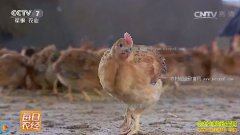 [ÿ��ũ��]�㽭�ٰ��ܱ�������������׬Ǯ������