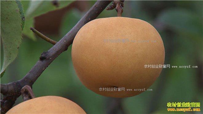 [�¸���]�����ϴ�����������Ԫ�����ֲԲ��������500��