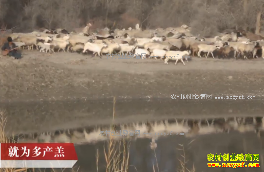 [�Ƽ�Է]�½�������ص���������������