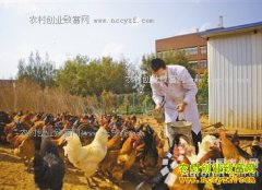 ����������ѧ����ΰ�����о�������������ҵ