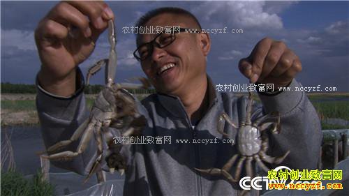  �¸�������ˮ�����������Ƹ� 4��7��