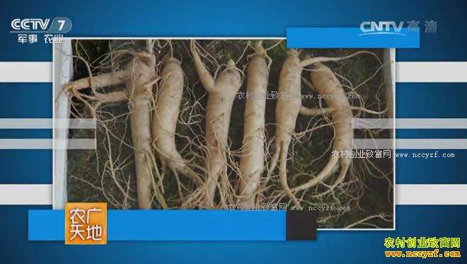 [ũ�����]�������ֲ������Ƶ 20170406