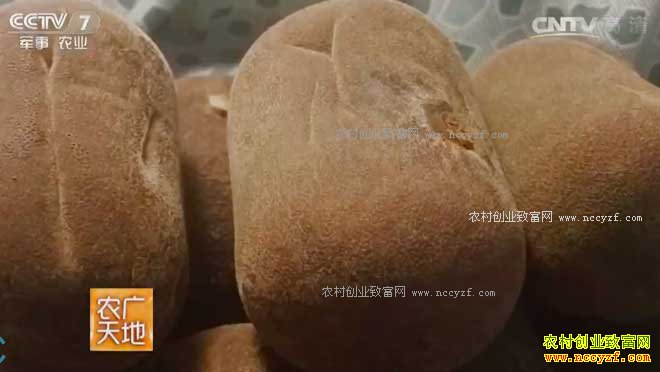 [ũ�����]��ҩ���ٺ��������� 20170407