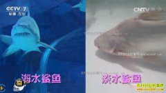 [ÿ��ũ��]������Ȫ������ͦ����