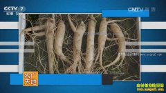 [ũ�����]�������ֲ������Ƶ