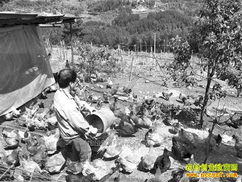 ����ᶼ����⨺���������ҩ��������׬30��