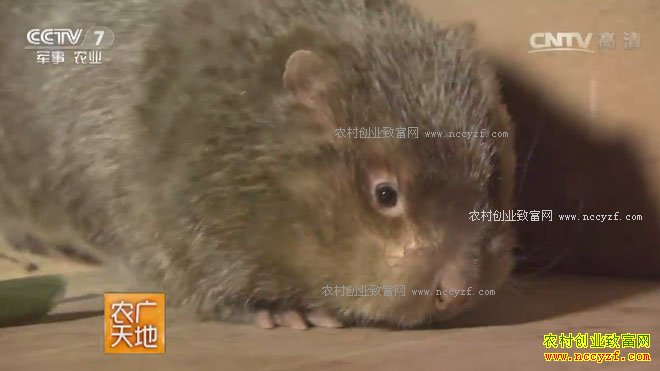 [ũ�����]ס��¥������ ���ϳ�����������ֳ������Ƶ