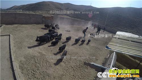 �¸�������С����ս�Űܺ�ĲƸ���Ϯ(20170410)