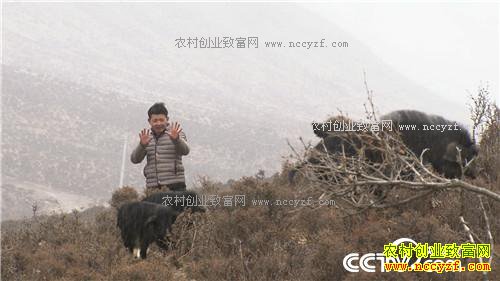 �¸�������С����ս�Űܺ�ĲƸ���Ϯ(20170410)