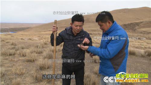 �¸�������С����ս�Űܺ�ĲƸ���Ϯ 4��10��