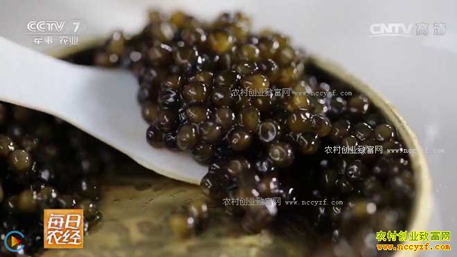 [ÿ��ũ��]������������ 20170410