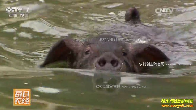 [ÿ��ũ��] �������ᡱ�����ĺ����Ƹ� 20170411