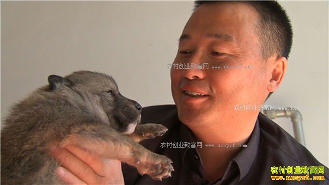 [�¸���]�½�����ظ�ΰ��������׬����Ԫ