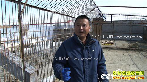 �¸��������Ƿ��Ӹ�ΰ�� 4��11��