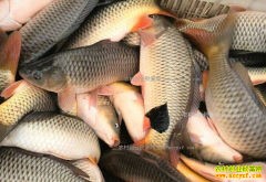 ����ᶼ��ˮ��۸�����һ����